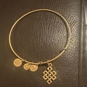 Alex and Ani Gold Charm Bracelet-Endless Knot